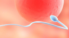 云南省滇南中心医院试管攻略：无结婚证可行吗？费用与成功率一览