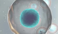 合肥第三代试管婴儿费用大致多少？2026年试管助孕价格明细表发布