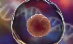 吉林长春三代试管助孕收费项目明细，2026年费用情况完整一览