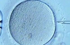 单身人士能在沈阳医学院附属第三医院做第三代试管婴儿吗？成功率怎