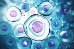 2026年没有结婚证想在潮州中心医院做试管可以吗？流程步骤与费用一览