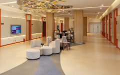 安徽合肥市私立试管医院排名权威发布-2026年最新前十强榜单揭晓