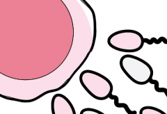 没有结婚证能在陕西省妇幼做试管吗？最新试管费用及成功率一览！