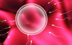 2026广东广州做三代试管婴儿助孕要多少钱？费用明细发布