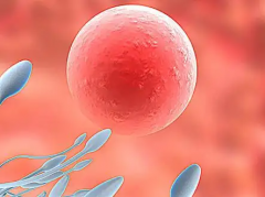 辽宁省单身人士选择沈阳菁华医院做试管成功率高不高？