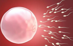 九江妇幼三代试管攻略：单身适用性、费用及成功率一览