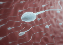 湖南岳阳三代试管婴儿收费贵吗？2026年费用情况与成功率揭秘