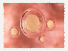 2026年单身做试管婴儿德阳人民医院接受吗？流程一览