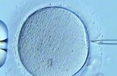 在山西晋中市试管助孕大概花多少钱？分别说明体检/促排/移植各项费用