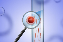 没有结婚证的人能在内蒙古自治区人民医院做试管婴儿吗？附费用及成