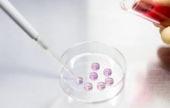 河北省做第三代试管婴儿助孕大概花多少钱