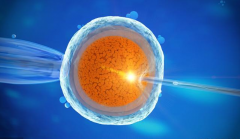 单身人士在东营市人民医院能做试管婴儿吗？大概要多少钱？