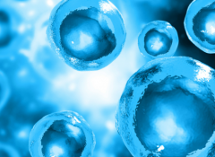 长春市做第三代试管婴儿大概花费多少？费用明细全面曝光