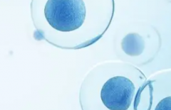 山东试管助孕一般需要多少费用，各项收费明细是什么