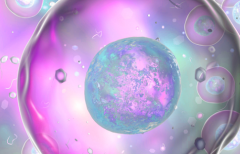 在上海市做试管婴儿包成功的医院靠不靠谱？