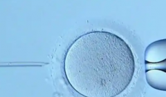 2026单身女性在南京医科大学第二附属医院试管婴儿需要多少钱？附上这