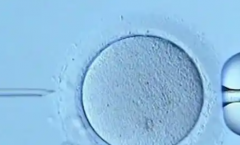 2026年山西晋中三代试管婴儿生孩子费用是多少，最新价格表及常见陷阱