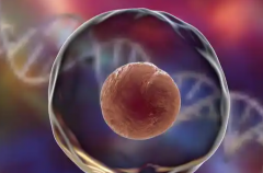 柳州妇幼试管婴儿准入条件：结婚证是必选项吗？