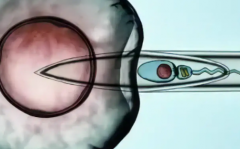 甘肃省三代试管助孕价格多少？附完整助孕生育费用明细
