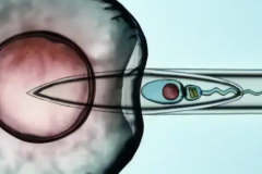 合肥三代试管费用明细(2026合肥第三代试管婴儿医院收费清单)