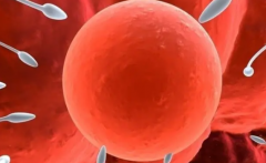 2026年未婚人士去山西妇产医院做试管大概要花多少钱？