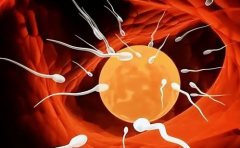 在乌克兰做试管婴儿的私立医院包成功承诺是真的吗？小心被忽悠