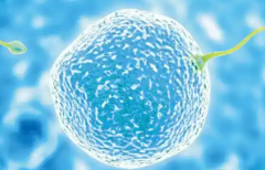 2026年在石家庄做试管婴儿助孕一般要花多少钱，贵不贵呢