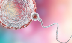 2026年贵州医科大学附属医院允许单身人士做试管吗？