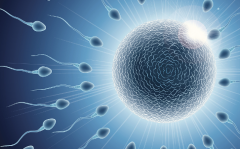 广西第三代试管婴儿费用多少？附收费明细与流程介绍详情