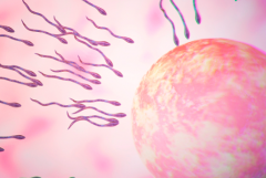 2026年杭州市富阳区妇幼保健院单身试管婴儿费用价目表一览