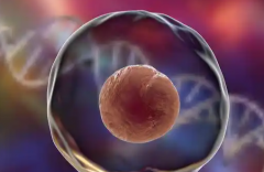 广东第三代试管婴儿费用明细：单周期费用约12万至20万元