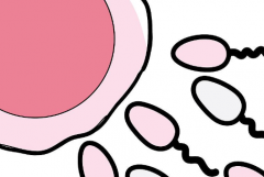 2026年南京中大医院单身人群试管婴儿费用明细价目表