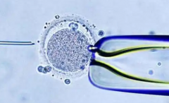 哈尔滨第三代试管助孕生孩子大概需要多少钱？费用区间约为8万至15万