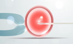 2026年单身人士想在鞍山妇儿医院做试管婴儿需要哪些步骤？