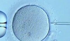 2026年辽宁沈阳市三代试管助孕花销全解，不同医院价格对照及省费用方