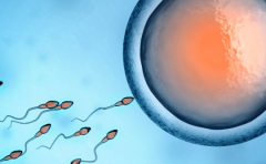 2026年陕西三代试管婴儿收费标准公布？附最新试管助孕费用清单