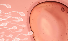 安徽合肥私立医院试管婴儿包成功承诺可信吗？业内人士透露真相