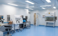 2026河南省南阳top10助孕公司榜单，值得您的信赖