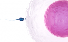 辽宁沈阳市那些说试管一次就能成功的私立医院靠谱吗？