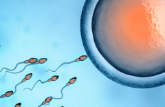 2026年在广东省深圳三代试管助孕需要多少费用？费用明细一览