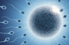 2026年全国试管婴儿助孕费用多少钱？第三代试管费用明细曝光