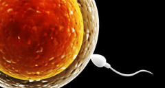 2026年贵州省遵义第三代试管婴儿花销揭秘：大致8万至10万元，附费用明