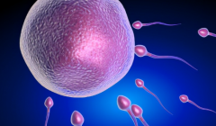 2026年天津医科大学第二医院单身做试管可以吗？费用价目表来了