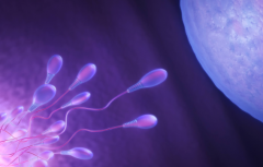 吉尔吉斯斯坦三代试管助孕一般多少费用，2026年试管移植全部费用清单