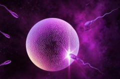 贵州省贵阳市三代试管助孕价格一般多少？附费用详情与成功率参考