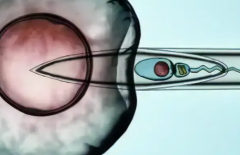 2026杭州各大医院试管婴儿收费及服务项目汇总