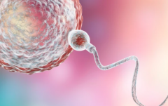 2026年未婚人士可以在泰安市中心医院做试管婴儿吗？