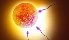 2026乌克兰三代试管婴儿包成功真相：流程与注意事项深度解读