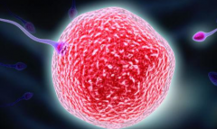 保定无结婚证的单身女性能去哪里做试管助孕？河大附属医院可以做吗