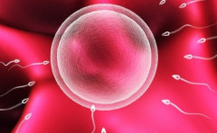 广西南宁有哪些私立医院可以做试管婴儿？